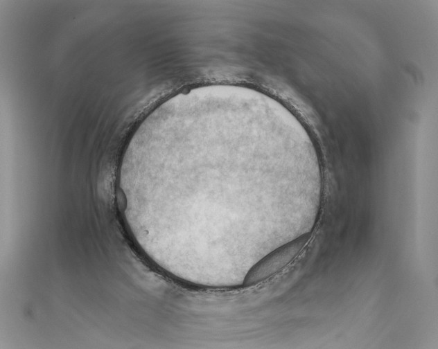 X0000111040009200908061506