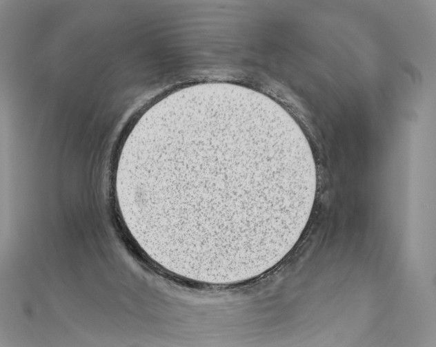 X0000111040012200908061506