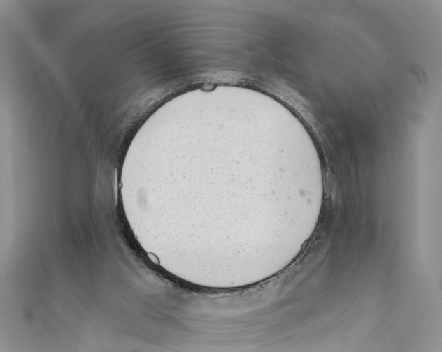 X0000111040013200908061506