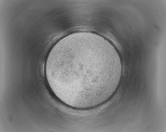 X0000111040014200908061506