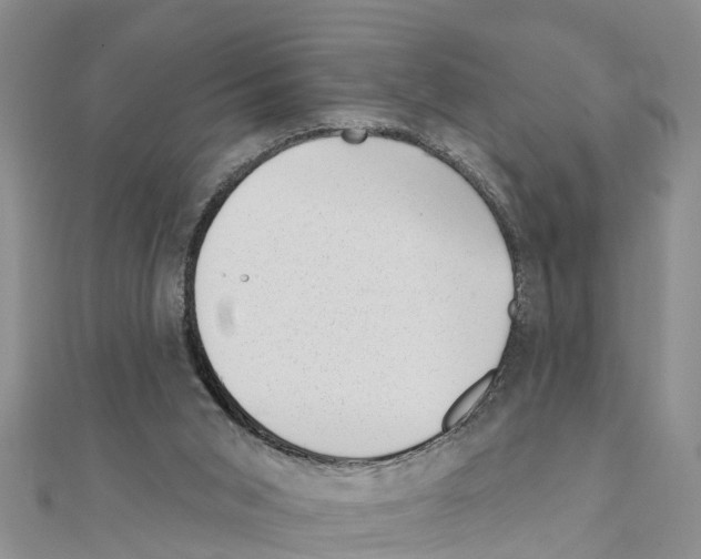 X0000111040015200908061506