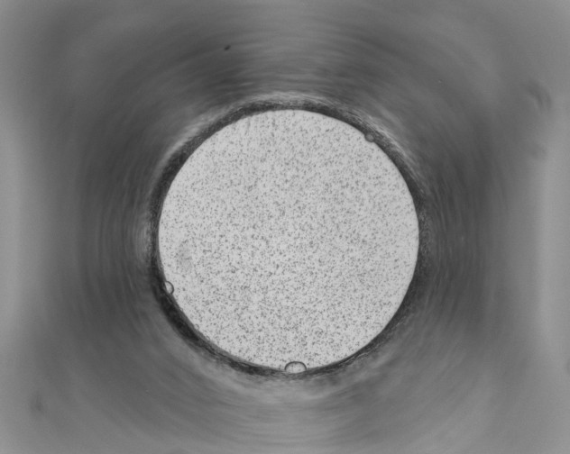 X0000111040016200908061506