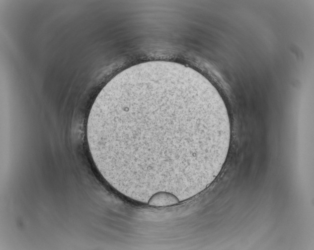 X0000111040017200908061506