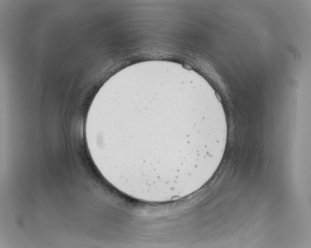 X0000111040021200908061506