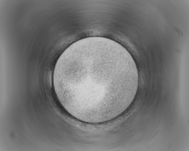 X0000111040022200908061506