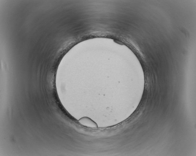 X0000111040023200908061506