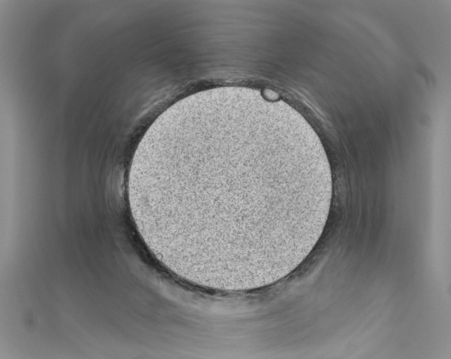 X0000111040024200908061506