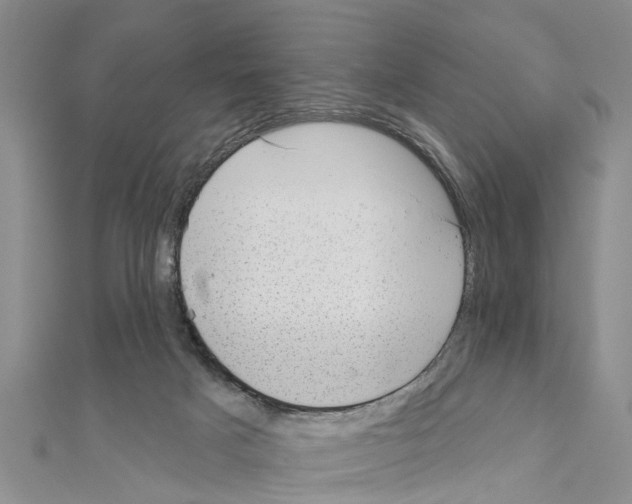 X0000111040025200908061506