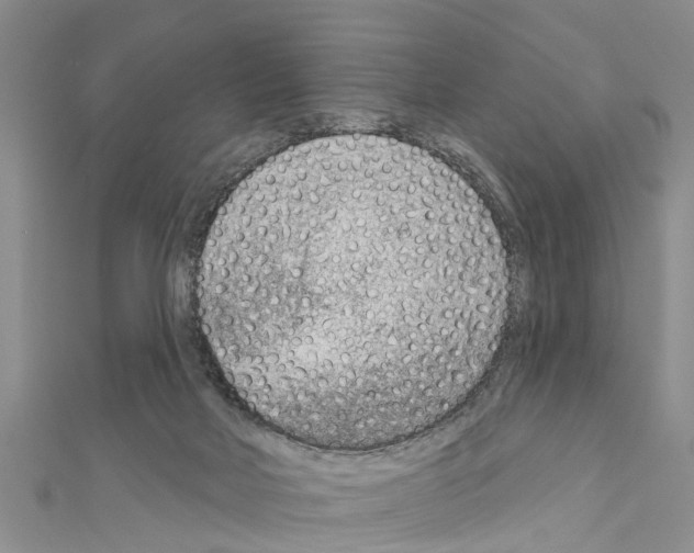 X0000111040026200908061506