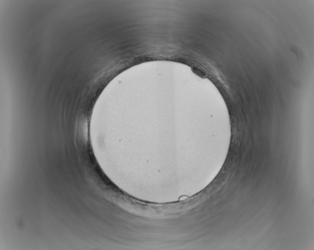 X0000111040027200908061506