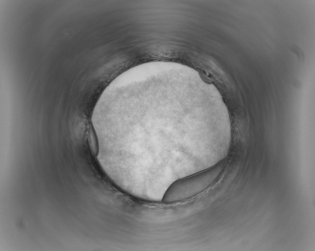 X0000111040029200908061506