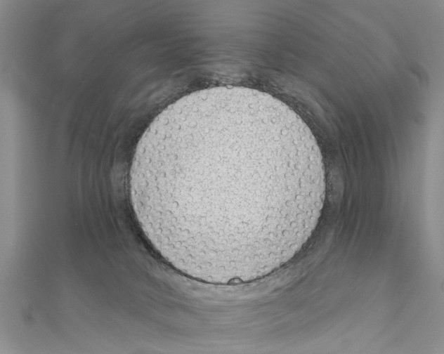 X0000111040034200908061506