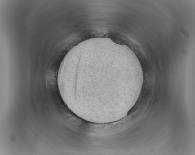 X0000111040037200908061506