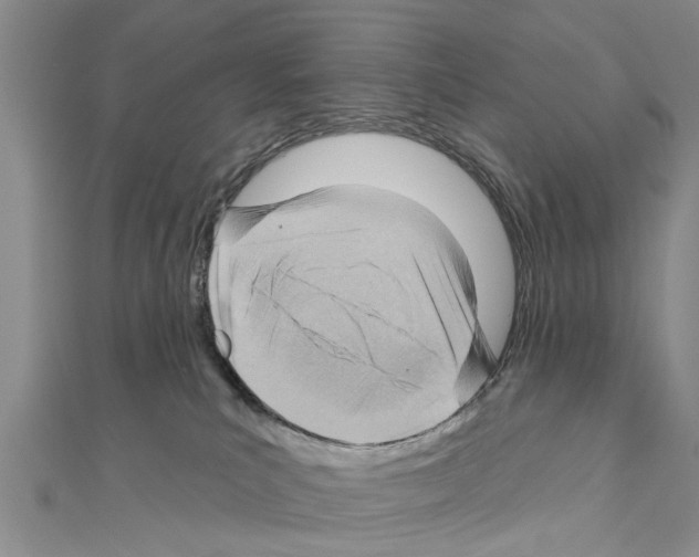 X0000111040039200908061506