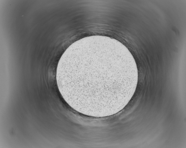 X0000111040040200908061506