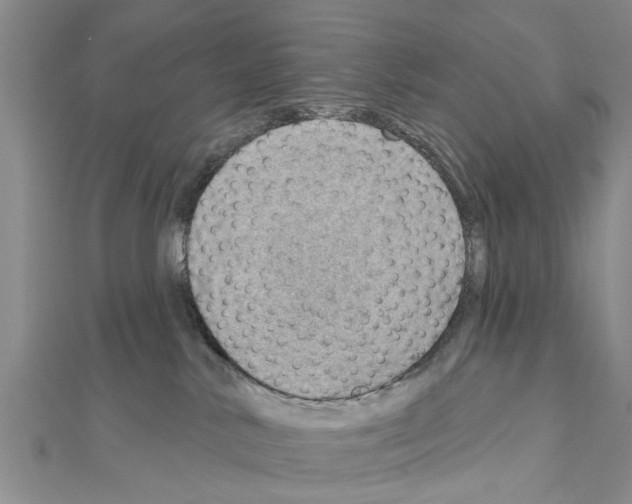 X0000111040042200908061506