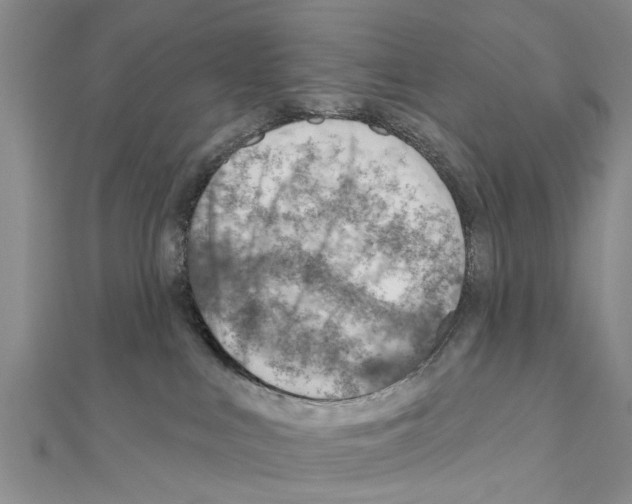 X0000111040043200908061506