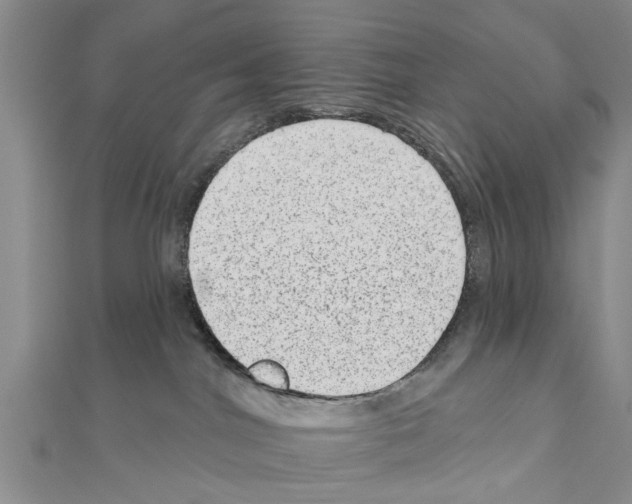 X0000111040044200908061506