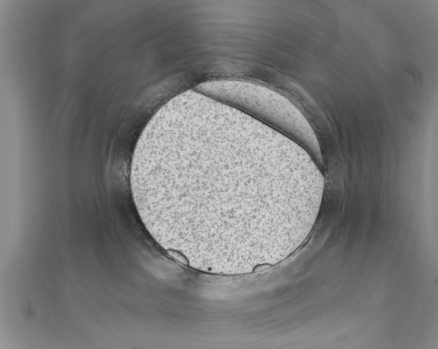 X0000111040045200908061506