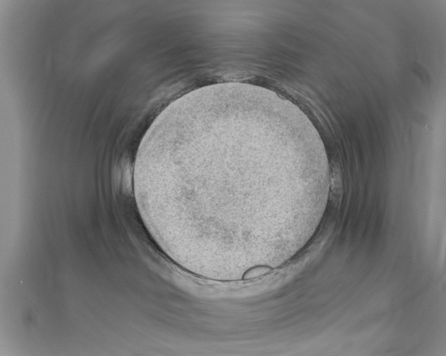 X0000111040046200908061506