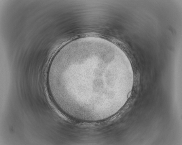 X0000111040049200908061505