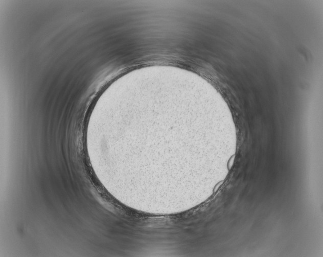 X0000111040050200908061505