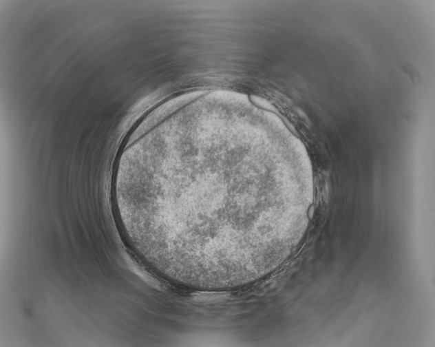 X0000111040051200908061505