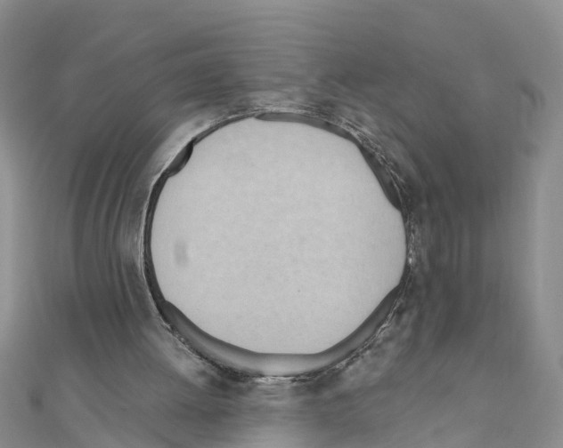 X0000111040052200908061505