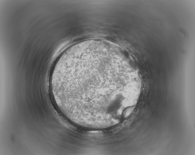 X0000111040053200908061505