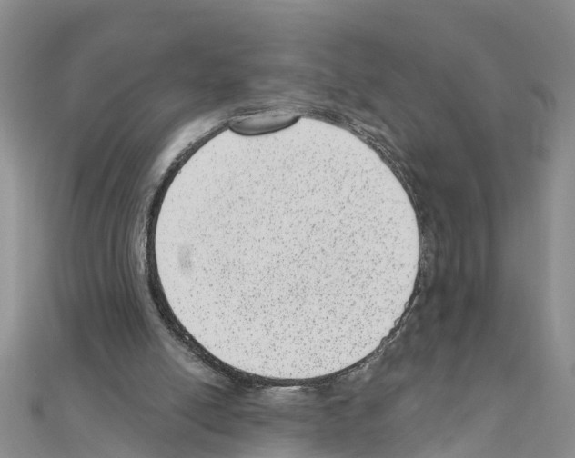 X0000111040054200908061505