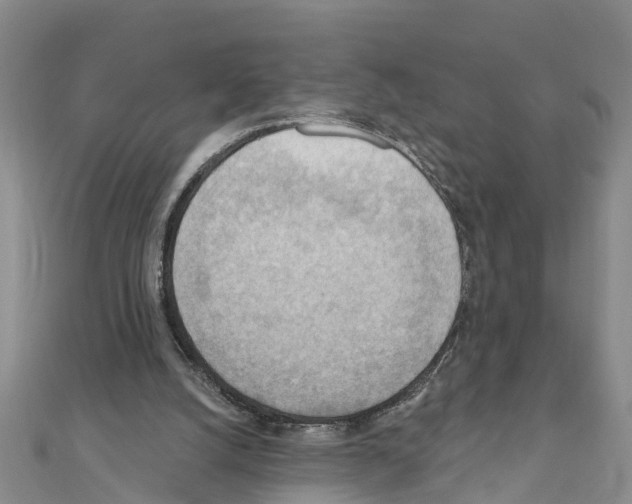 X0000111040056200908061505