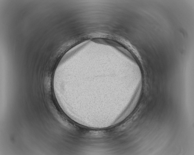 X0000111040057200908061505