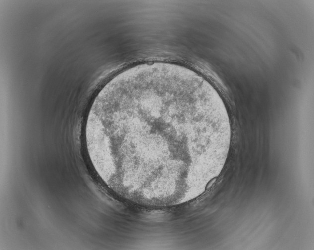 X0000111040058200908061505