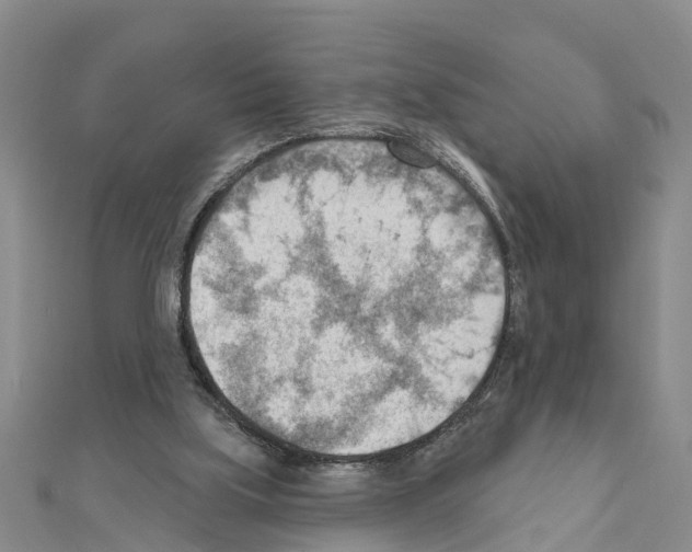 X0000111040059200908061505