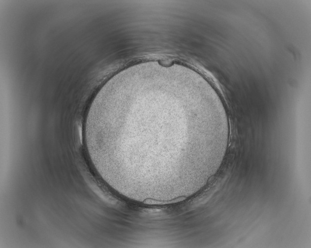 X0000111040061200908061505