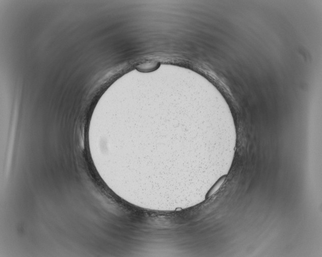 X0000111040062200908061505