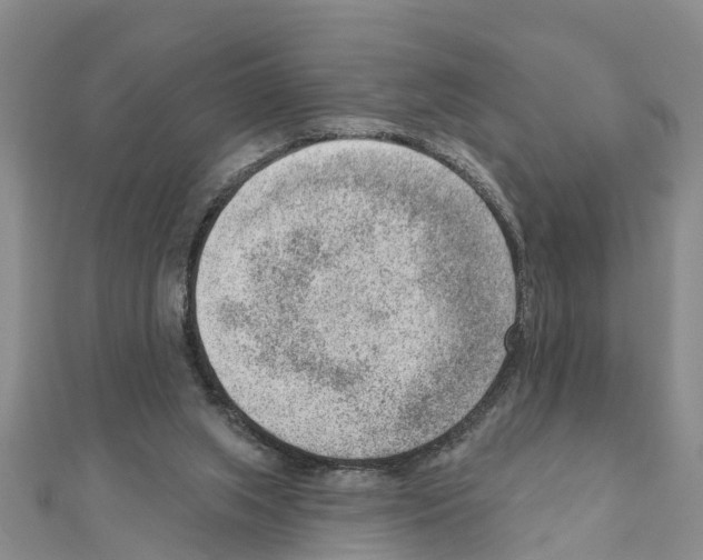 X0000111040063200908061505