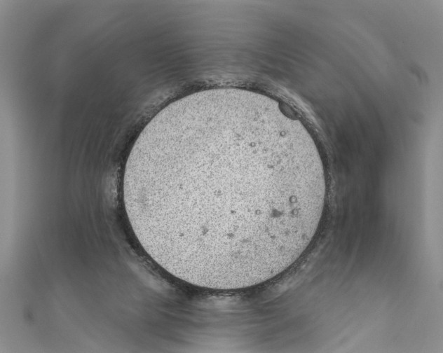 X0000111040065200908061505