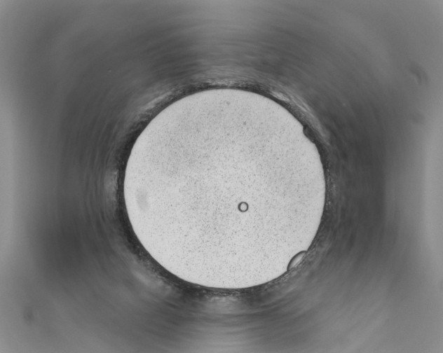 X0000111040066200908061505