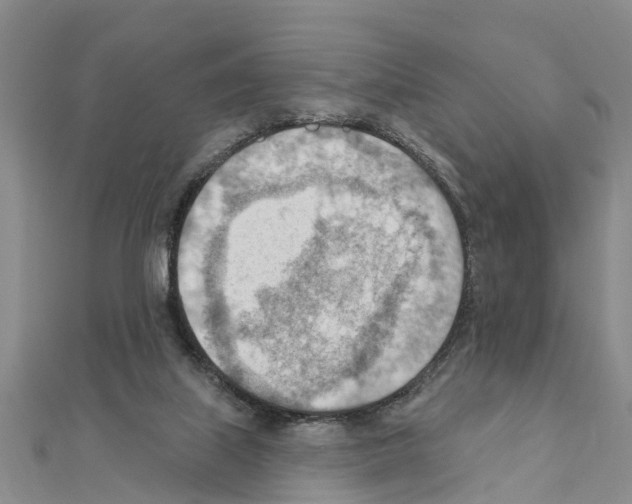 X0000111040067200908061505