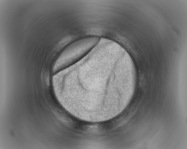 X0000111040068200908061505