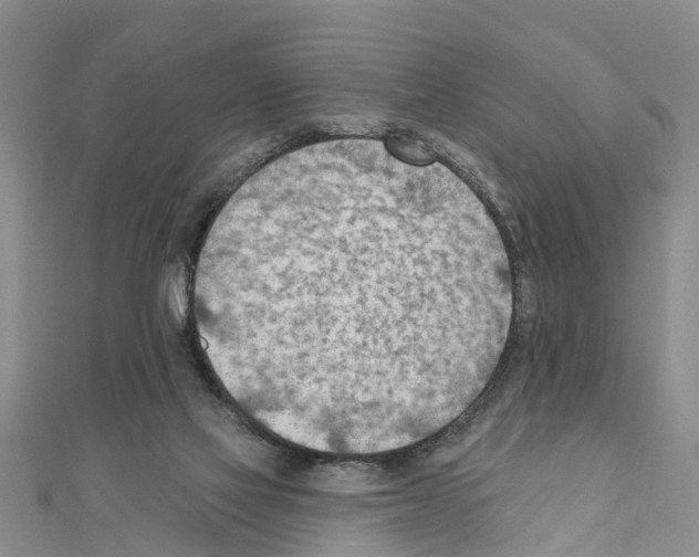 X0000111040069200908061505