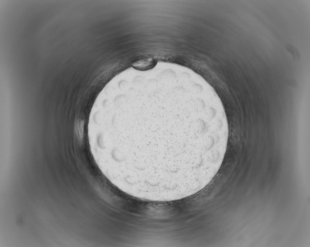 X0000111040070200908061505