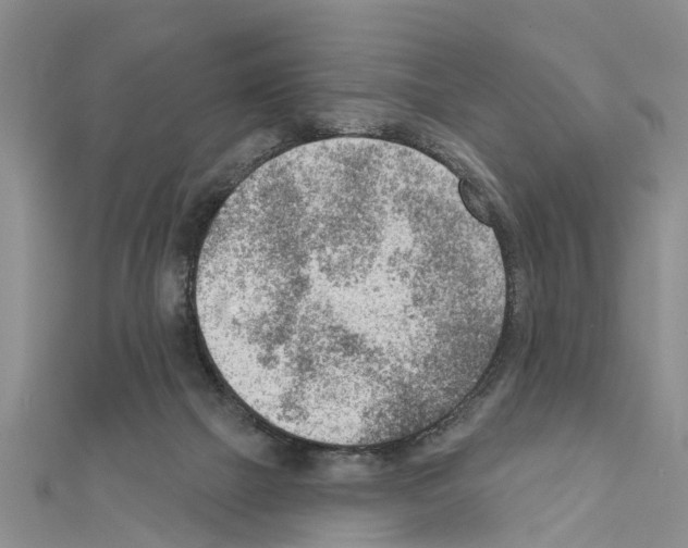 X0000111040073200908061505