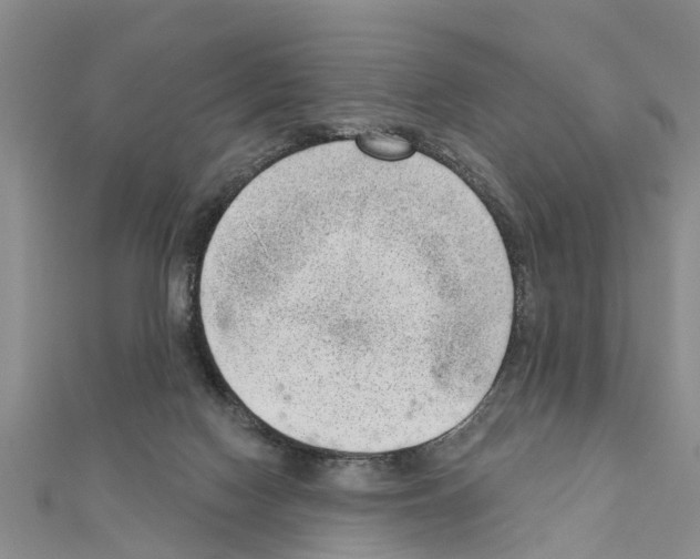 X0000111040074200908061505