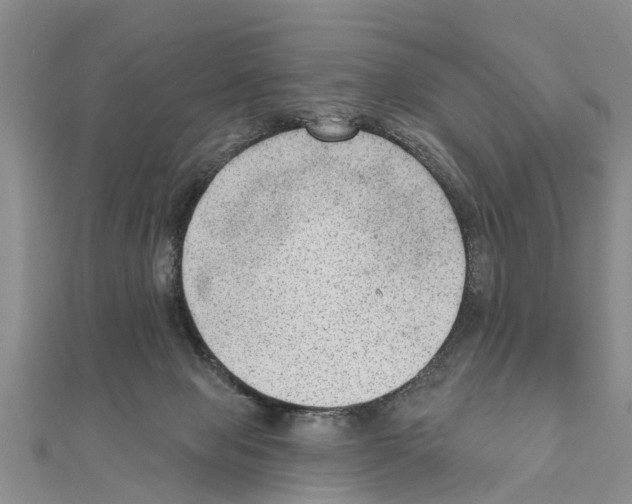 X0000111040077200908061505