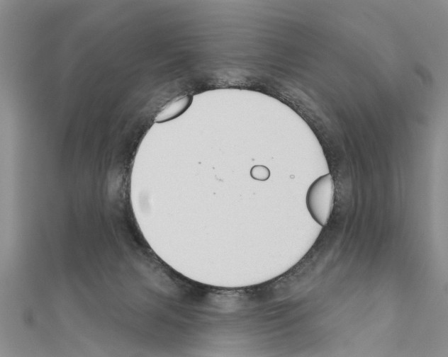 X0000111040079200908061505