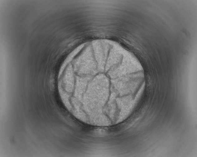 X0000111040080200908061505