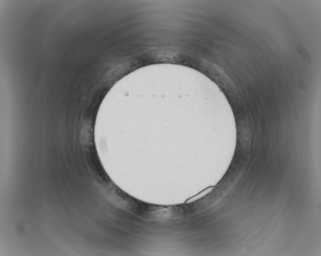 X0000111040083200908061505