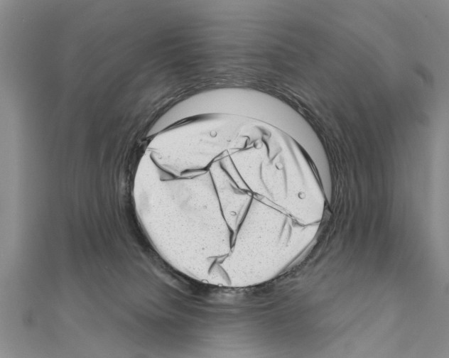 X0000111040084200908061505